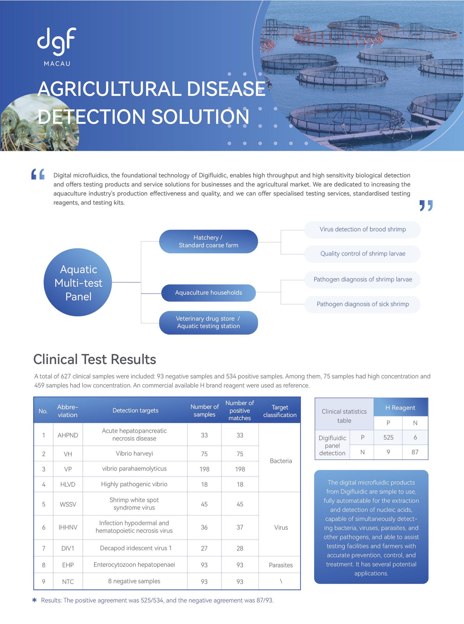 p1.jpg